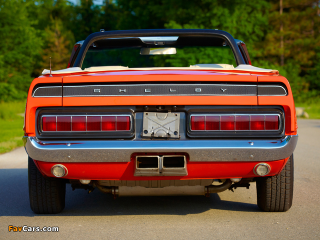 Images of Shelby GT500 Convertible 1969 (640 x 480)