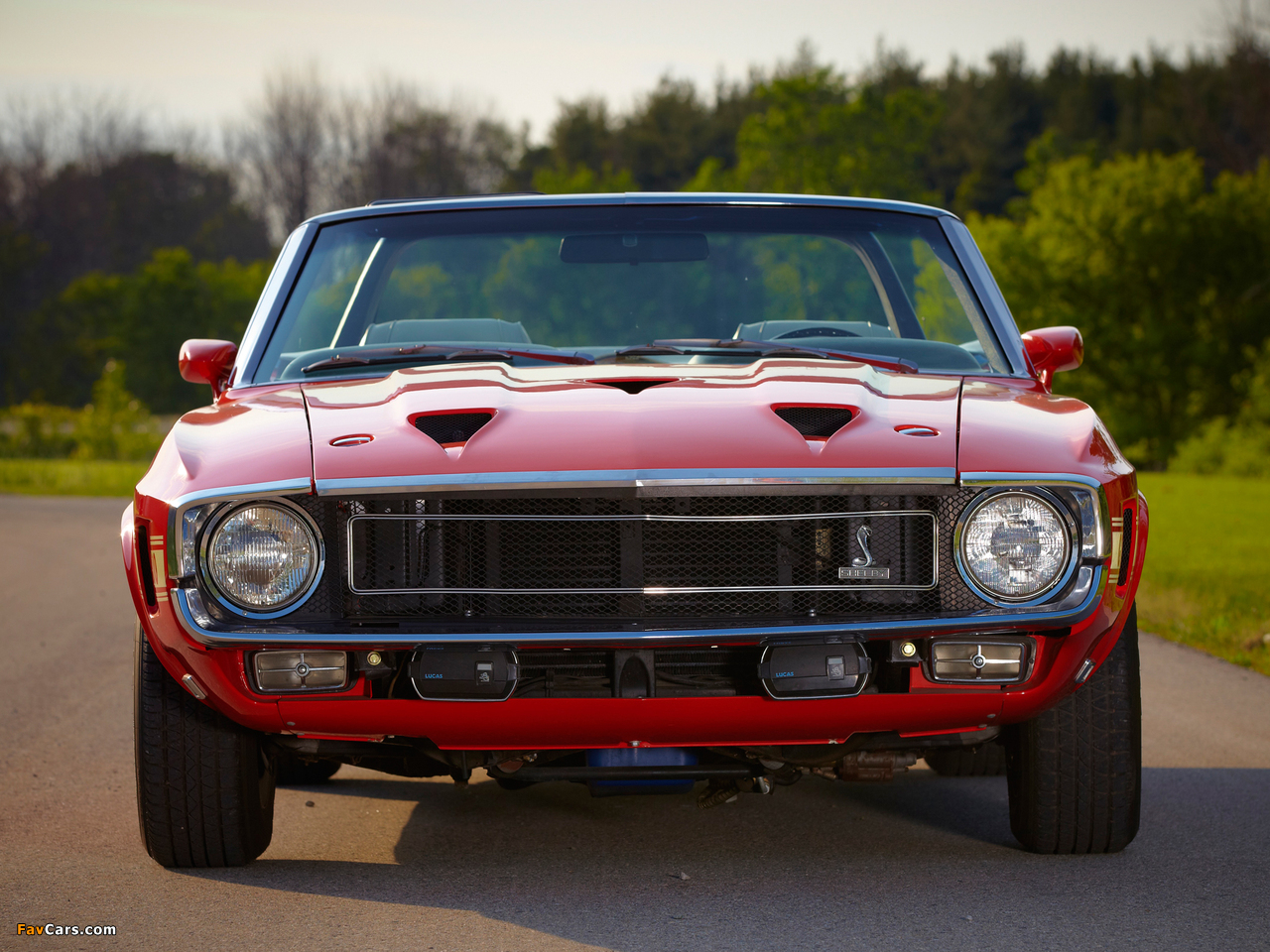 Images of Shelby GT500 Convertible 1969 (1280 x 960)