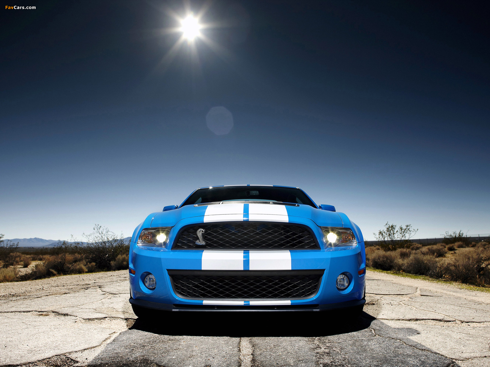 Images of Shelby GT500 2009–10 (1600 x 1200)