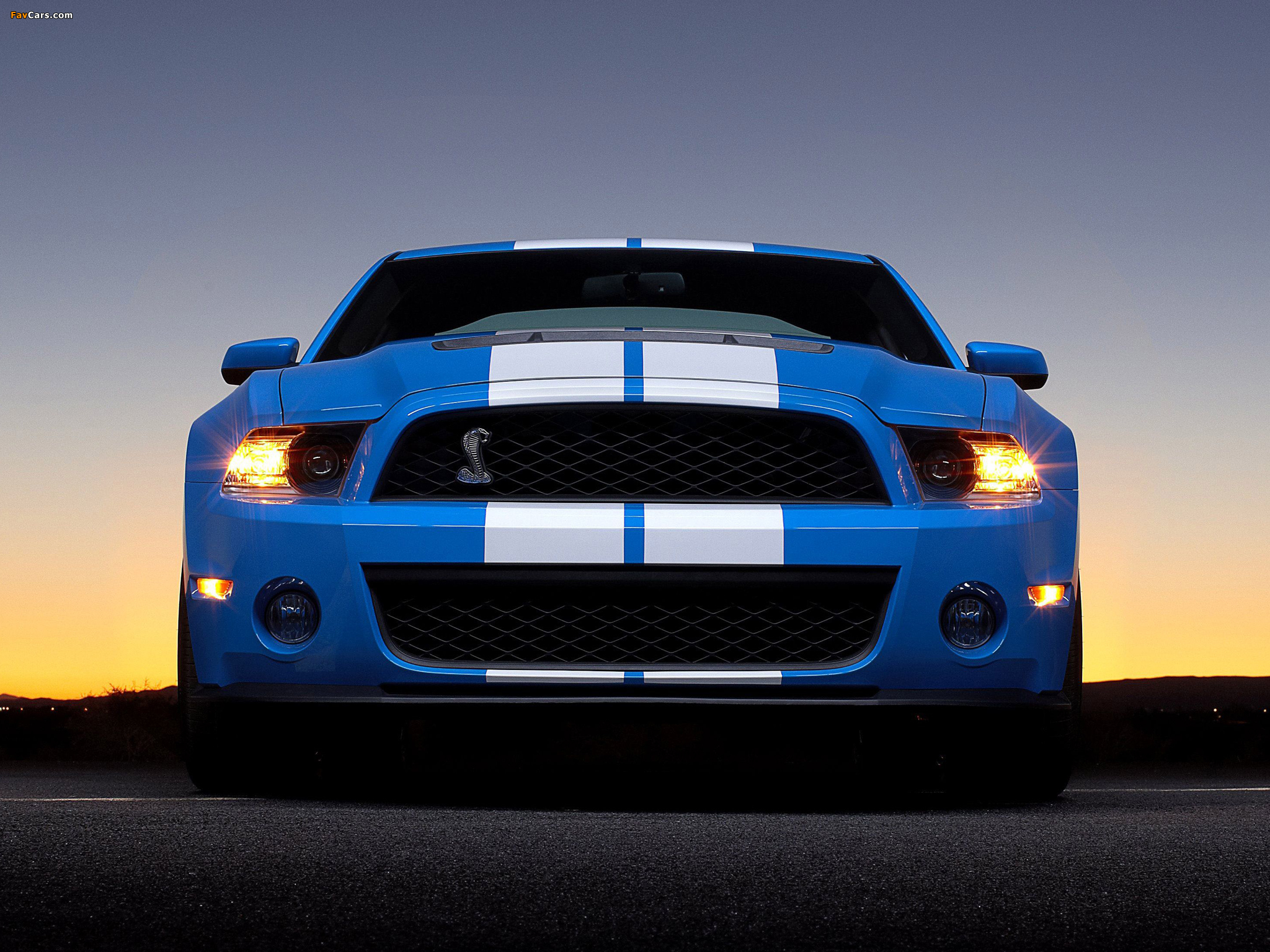 Images of Shelby GT500 2009–10 (2048 x 1536)