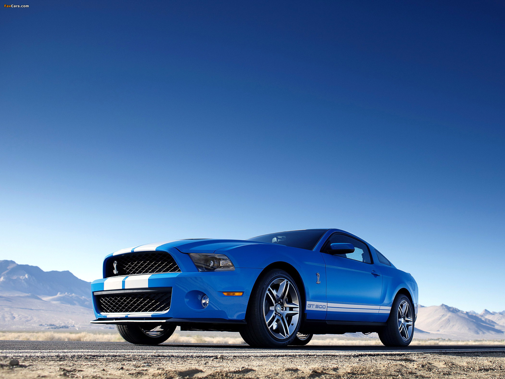 Images of Shelby GT500 2009–10 (2048 x 1536)