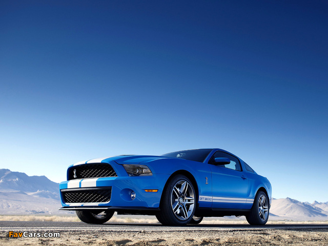 Images of Shelby GT500 2009–10 (640 x 480)