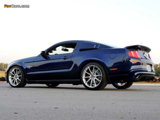 Images of Shelby GT500 Super Snake 2010–11 (640 x 480)