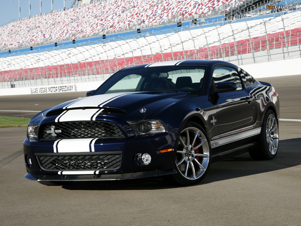 Images of Shelby GT500 Super Snake 2010–11 (1024 x 768)