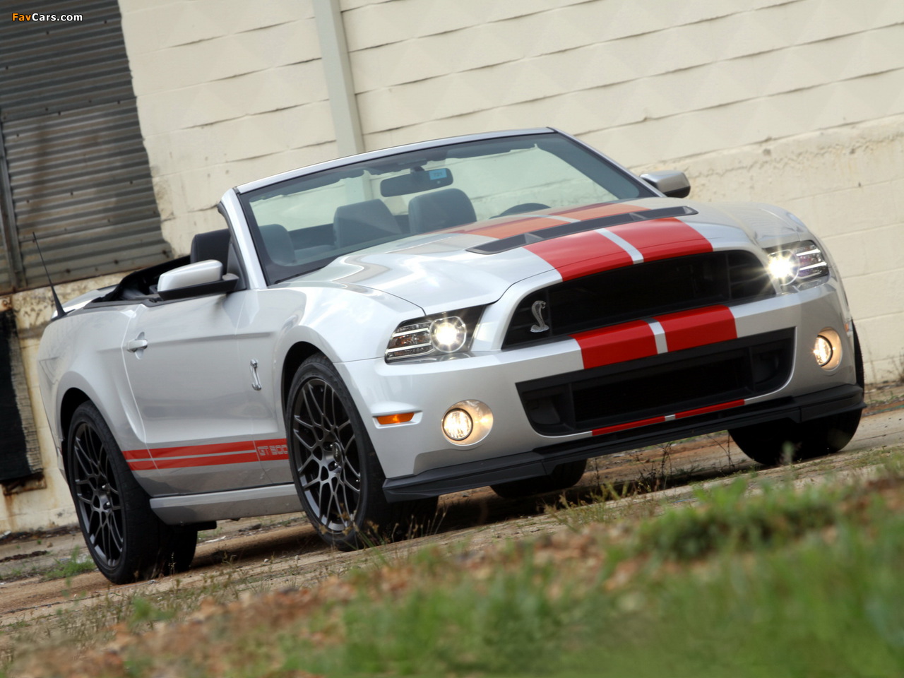 Images of Shelby GT500 SVT Convertible 2012 (1280 x 960)