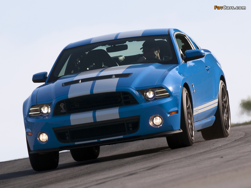 Images of Shelby GT500 SVT 2012 (800 x 600)