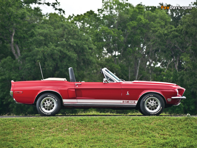 Photos of Shelby GT500 Convertible 1968 (640 x 480)