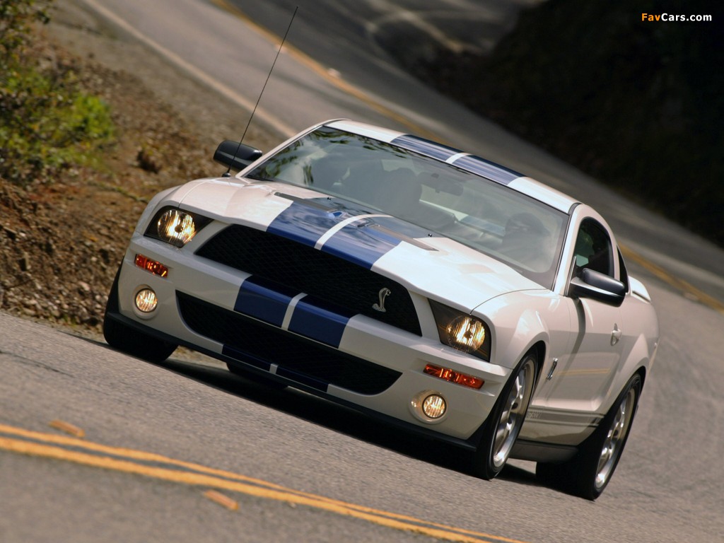 Photos of Shelby GT500 2005–08 (1024 x 768)