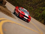 Photos of Shelby GT500 2005–08