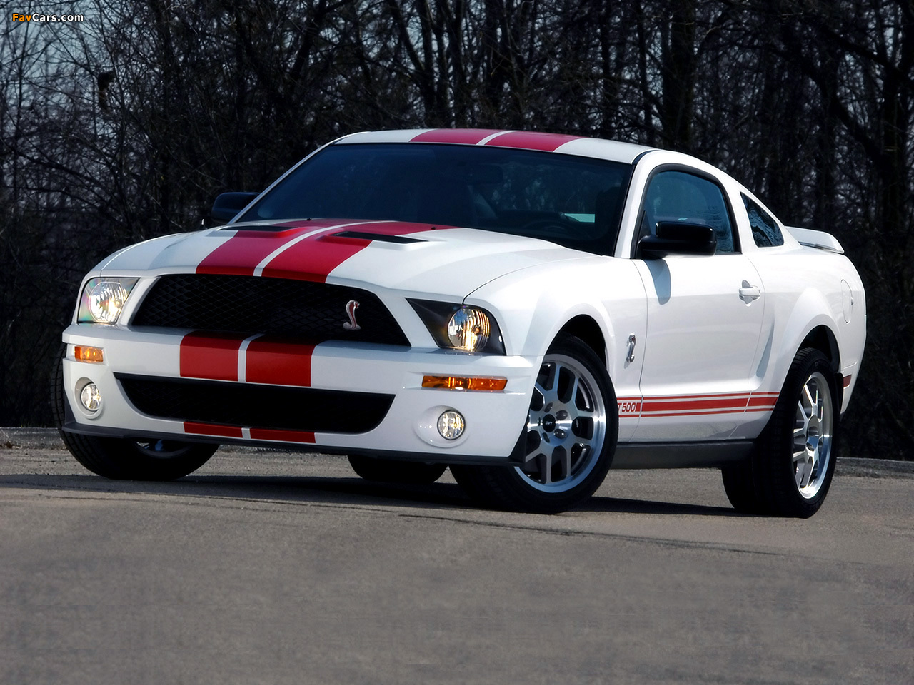 Photos of Shelby GT500 Red Stripe Appearance Package 2007 (1280 x 960)