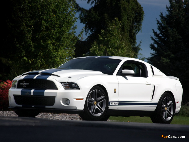 Photos of Shelby GT500 Patriot Edition 2009 (800 x 600)
