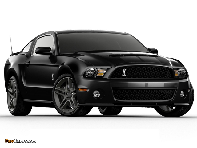 Photos of Shelby GT500 2009–10 (640 x 480)
