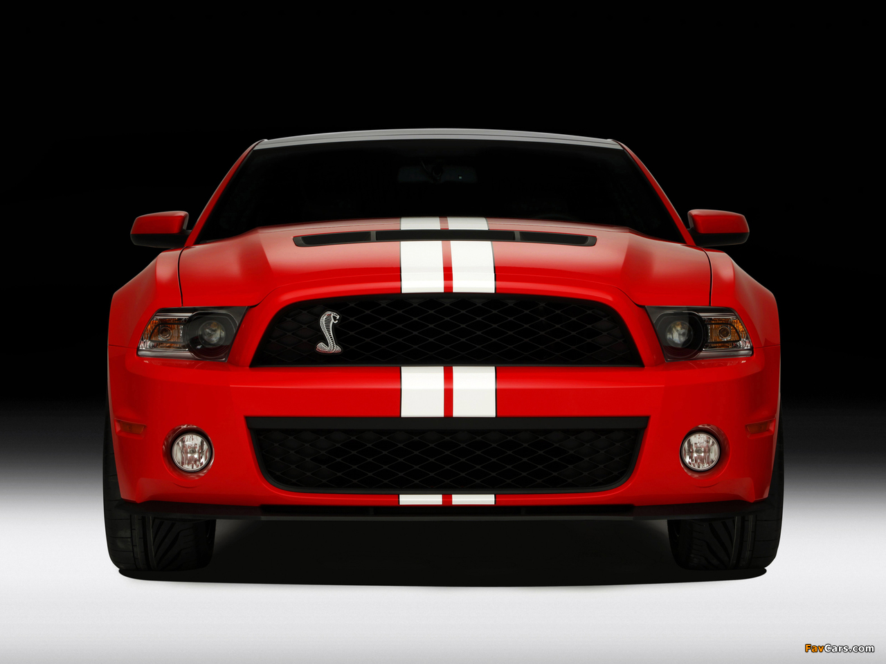 Photos of Shelby GT500 SVT 2010–12 (1280 x 960)