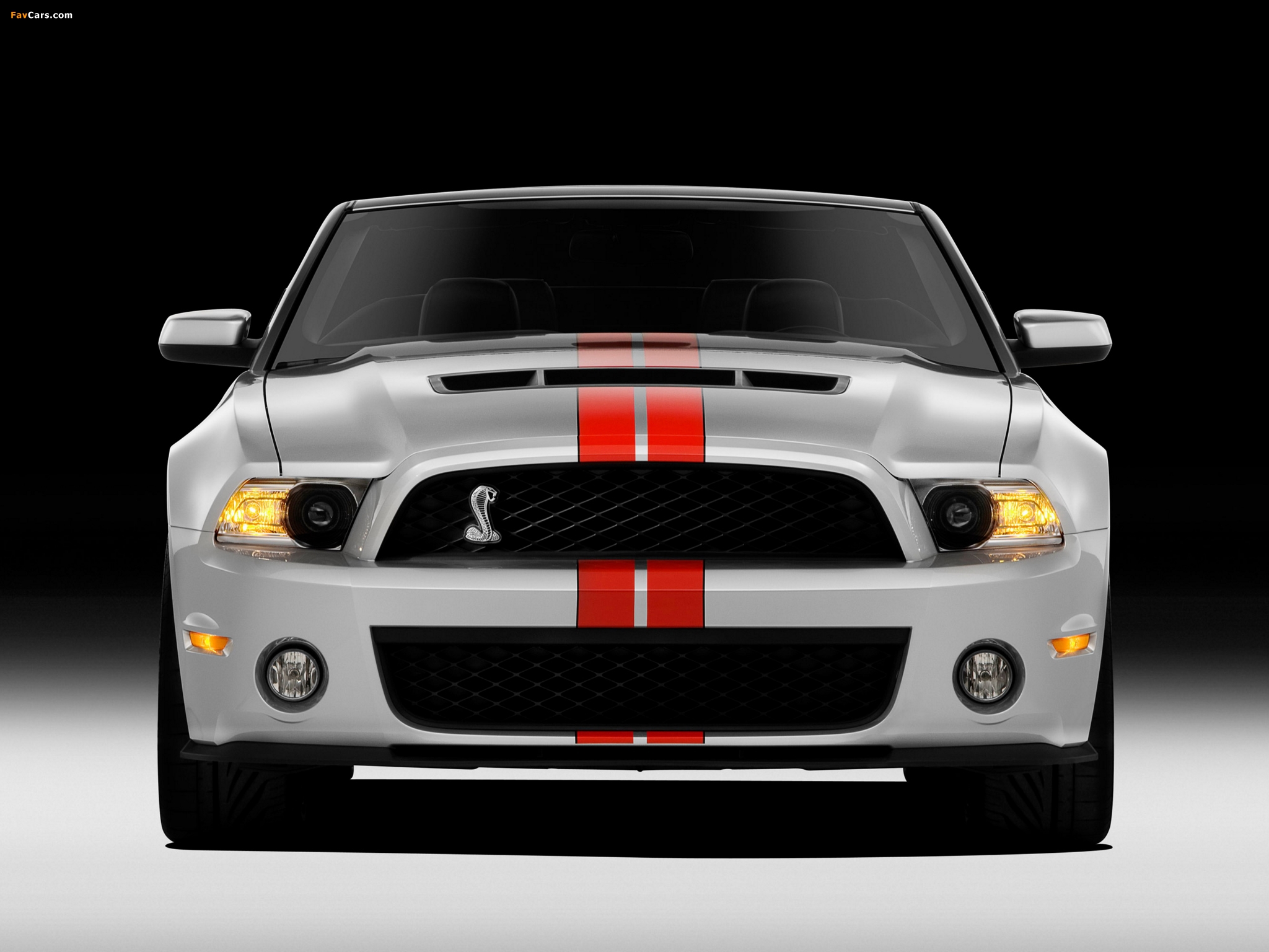 Photos of Shelby GT500 SVT Convertible 2010–11 (2048 x 1536)