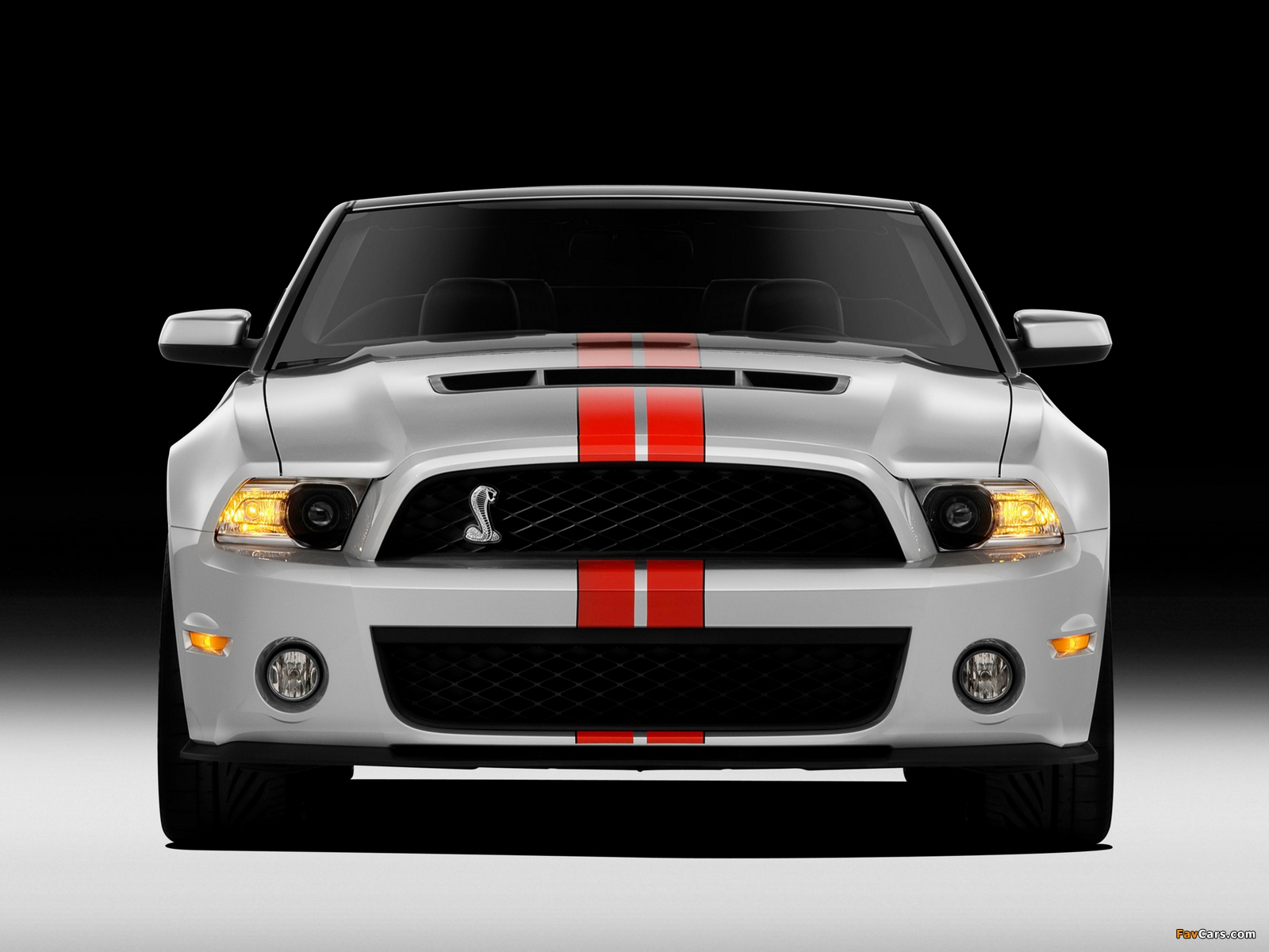 Photos of Shelby GT500 SVT Convertible 2010–11 (1600 x 1200)