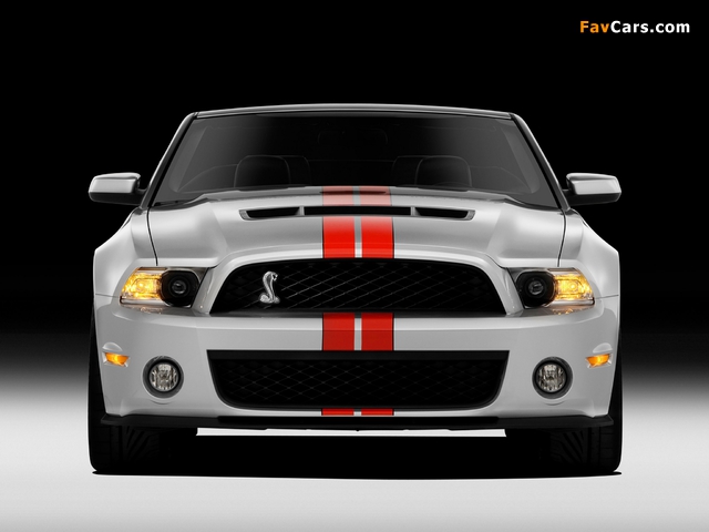 Photos of Shelby GT500 SVT Convertible 2010–11 (640 x 480)