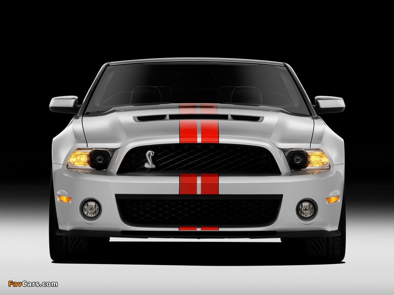 Photos of Shelby GT500 SVT Convertible 2010–11 (800 x 600)