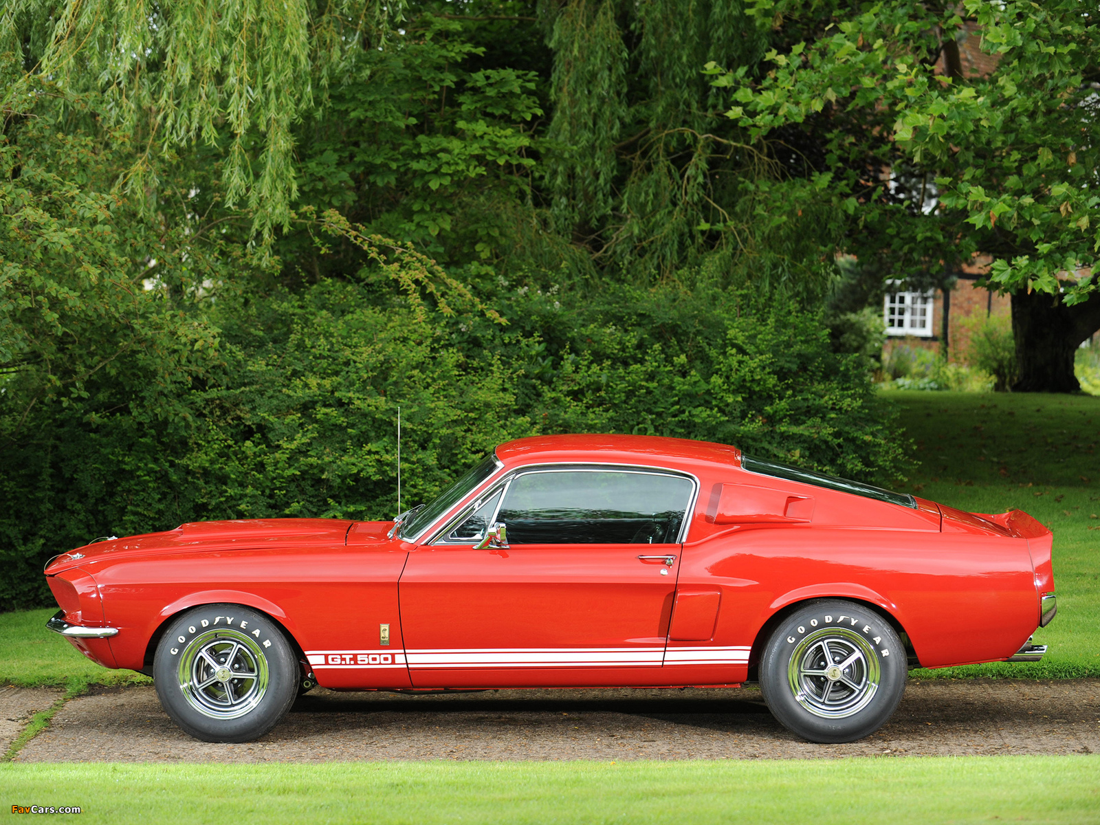 Pictures of Shelby GT500 1967 (1600 x 1200)