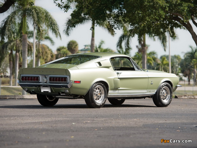 Pictures of Shelby GT500 1968 (640 x 480)