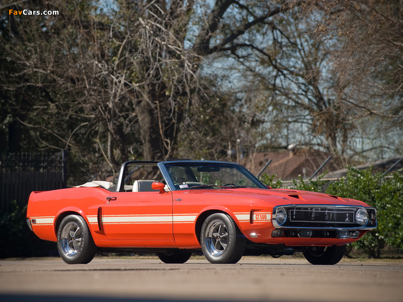 Pictures of Shelby GT500 Convertible 1969 (800 x 600)