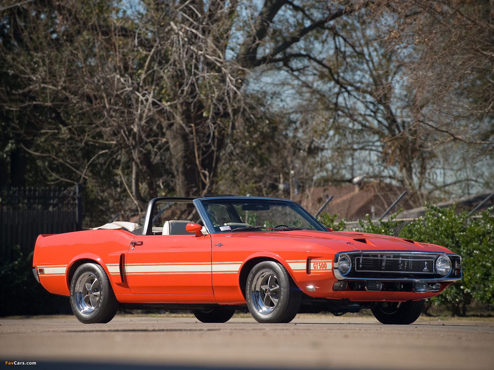 Pictures of Shelby GT500 Convertible 1969 (1600 x 1200)