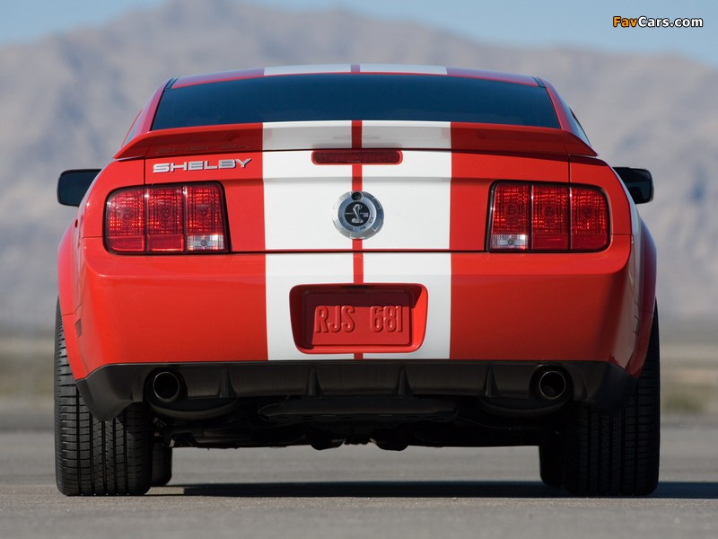 Pictures of Shelby GT500 2005–08 (800 x 600)