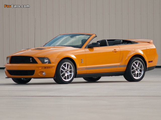 Pictures of Shelby GT500 Convertible 2005–08 (640 x 480)