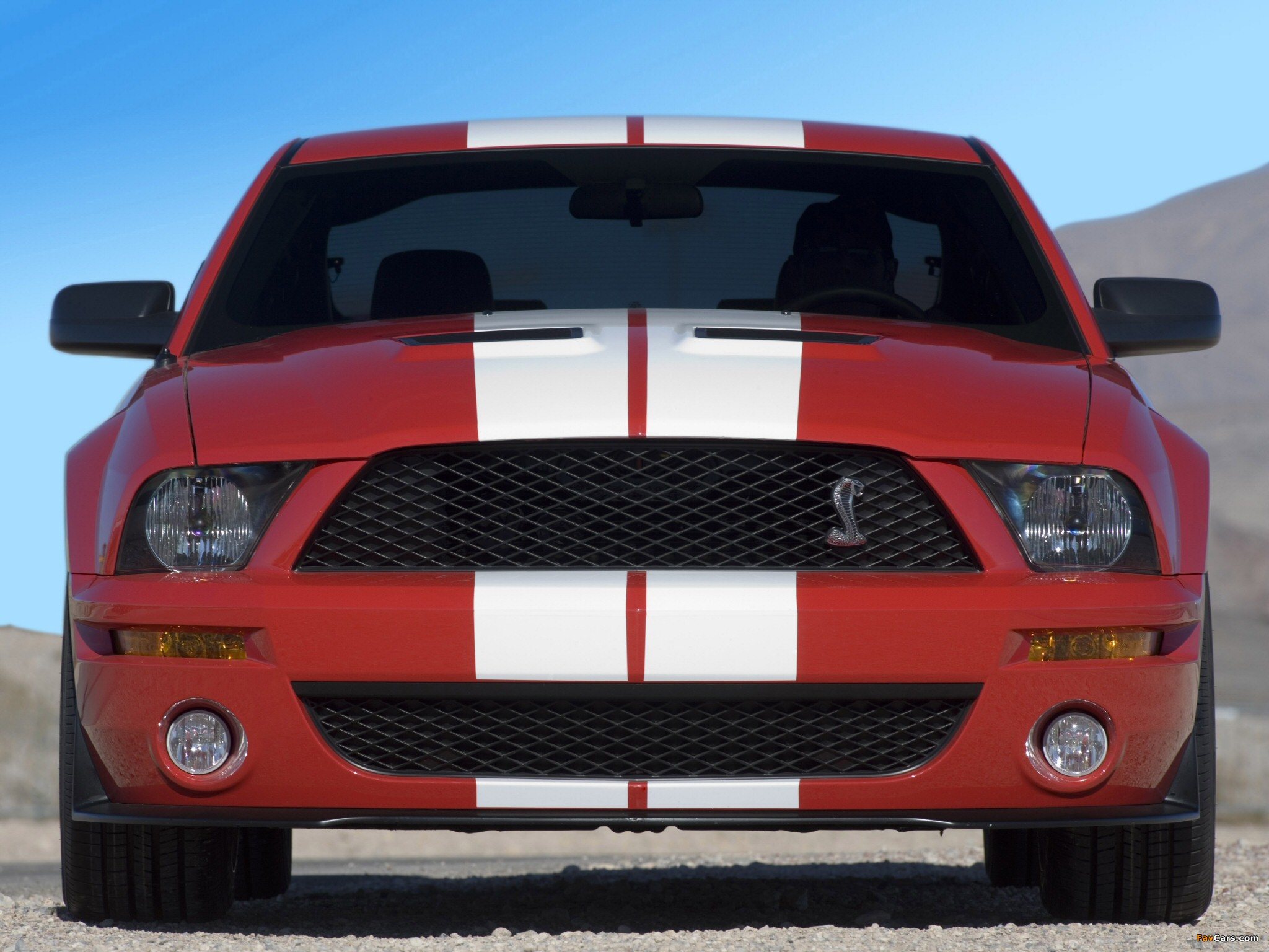 Pictures of Shelby GT500 2005–08 (2048 x 1536)