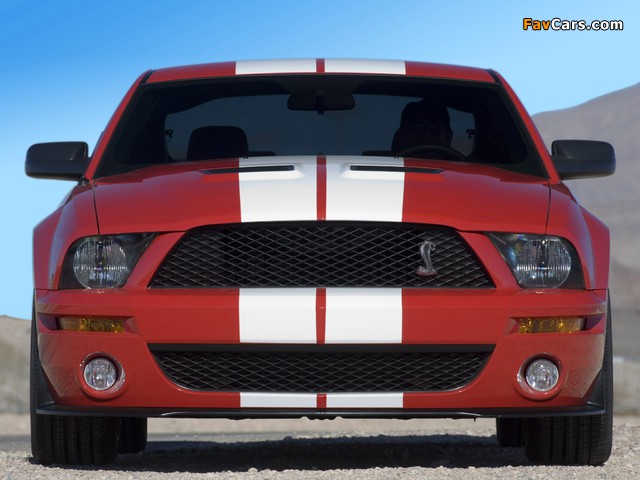 Pictures of Shelby GT500 2005–08 (640 x 480)