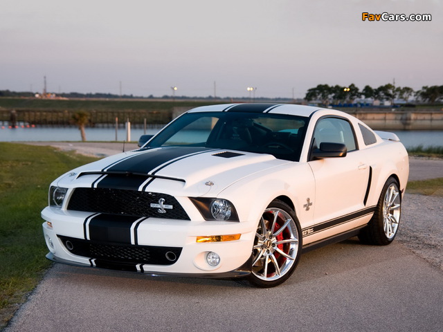 Pictures of Shelby GT500 Super Snake 2008–10 (640 x 480)