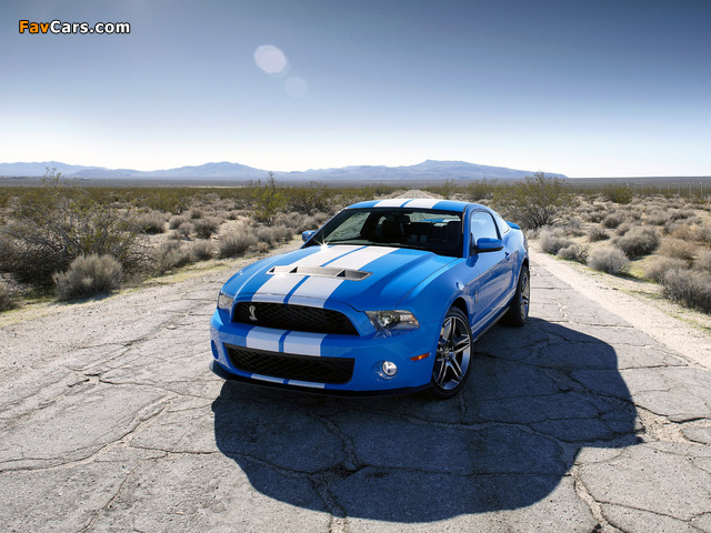 Pictures of Shelby GT500 2009–10 (640 x 480)