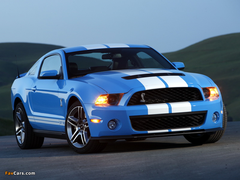 Pictures of Shelby GT500 2009–10 (800 x 600)