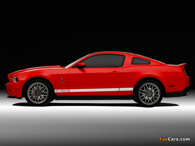 Pictures of Shelby GT500 SVT 2010–12 (640 x 480)