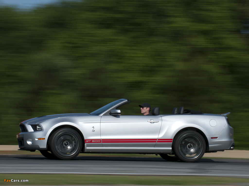 Pictures of Shelby GT500 SVT Convertible 2012 (1024 x 768)