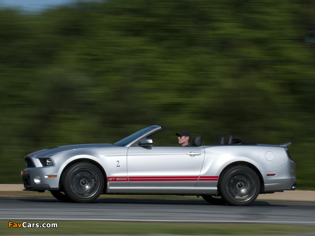 Pictures of Shelby GT500 SVT Convertible 2012 (640 x 480)
