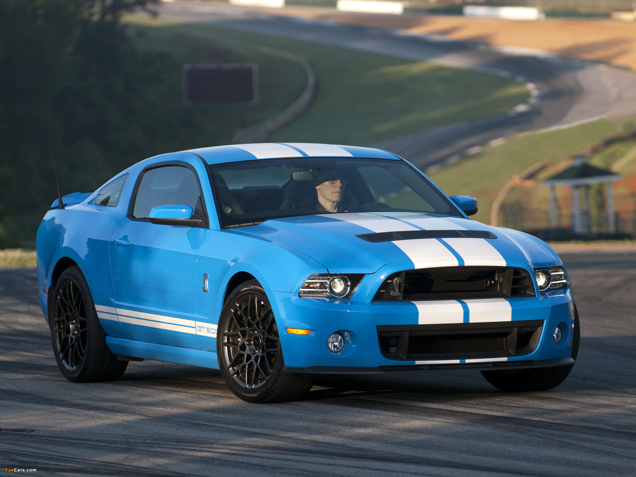 Pictures of Shelby GT500 SVT 2012 (2048 x 1536)