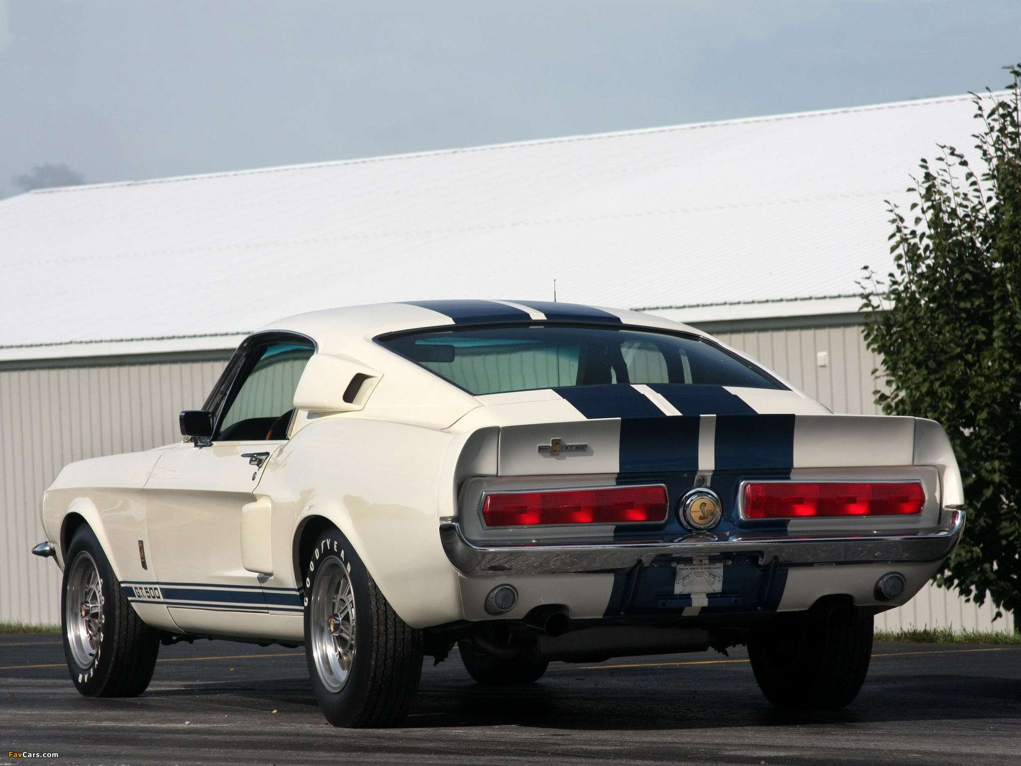 Shelby GT500 1967 pictures (2048 x 1536)