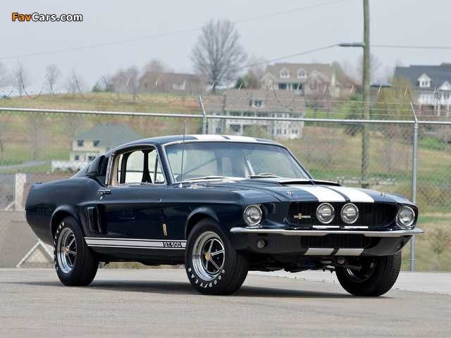 Shelby GT500 1967 pictures (640 x 480)