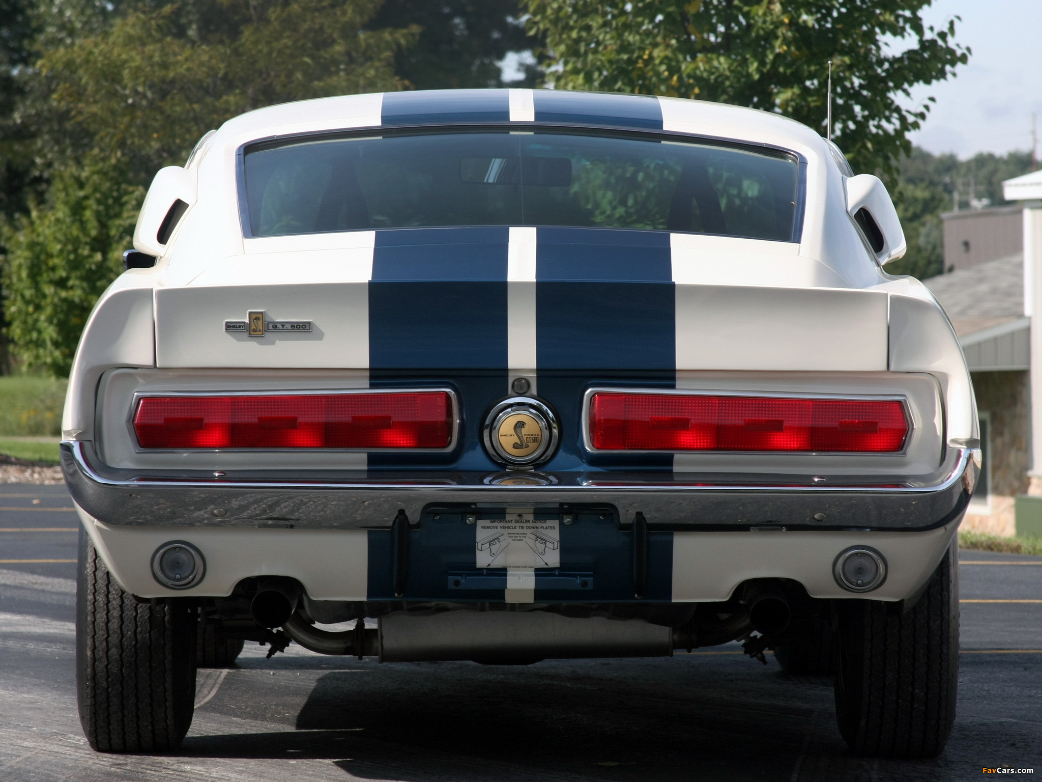 Shelby GT500 1967 pictures (2048 x 1536)