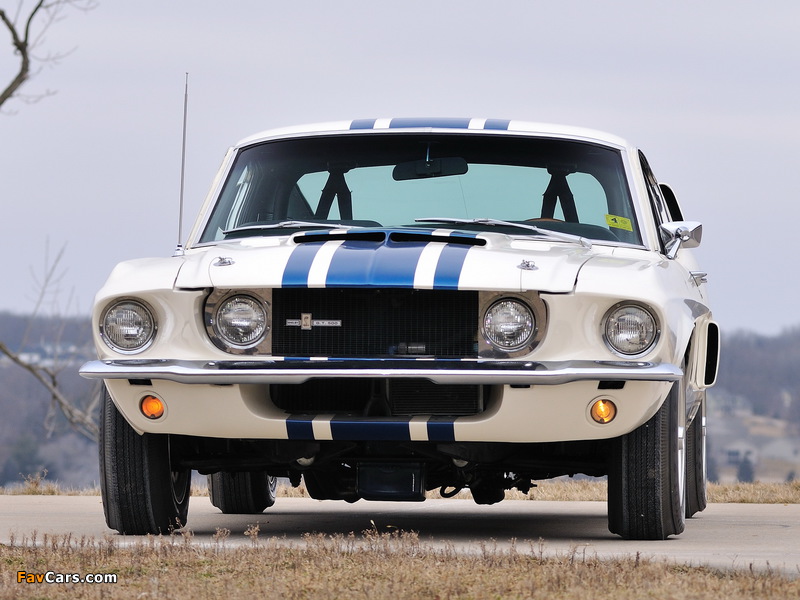 Shelby GT500 Super Snake 1967 wallpapers (800 x 600)
