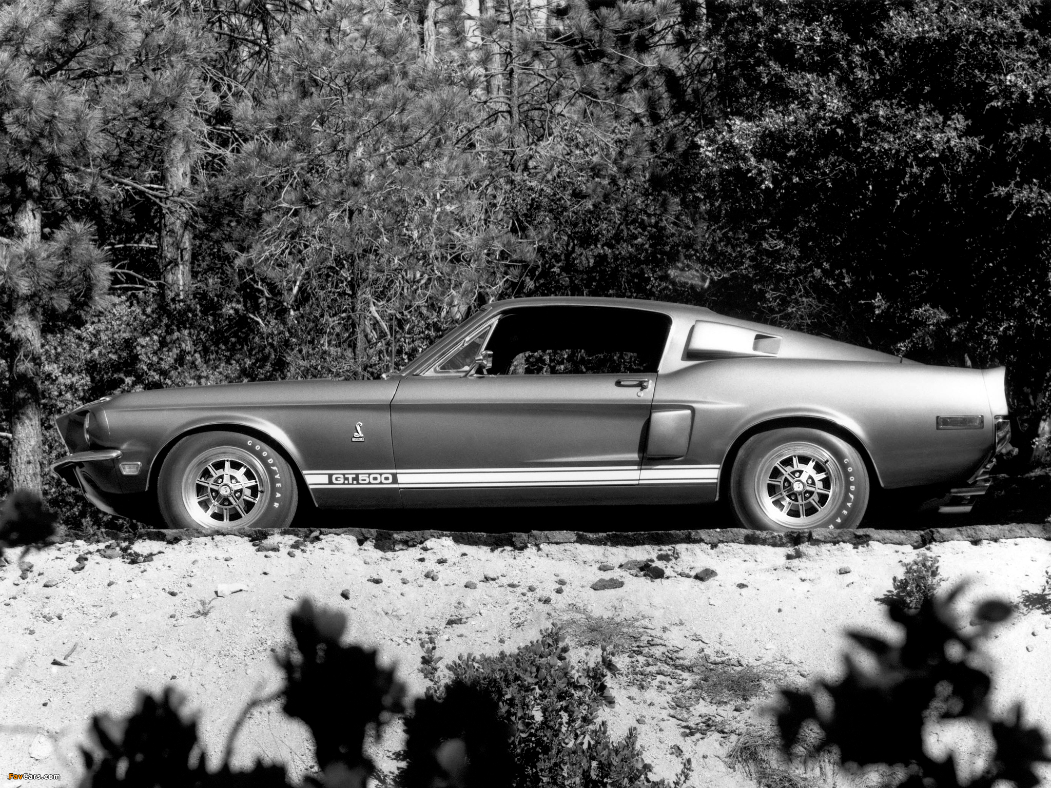 Shelby GT500 1968 photos (2048 x 1536)