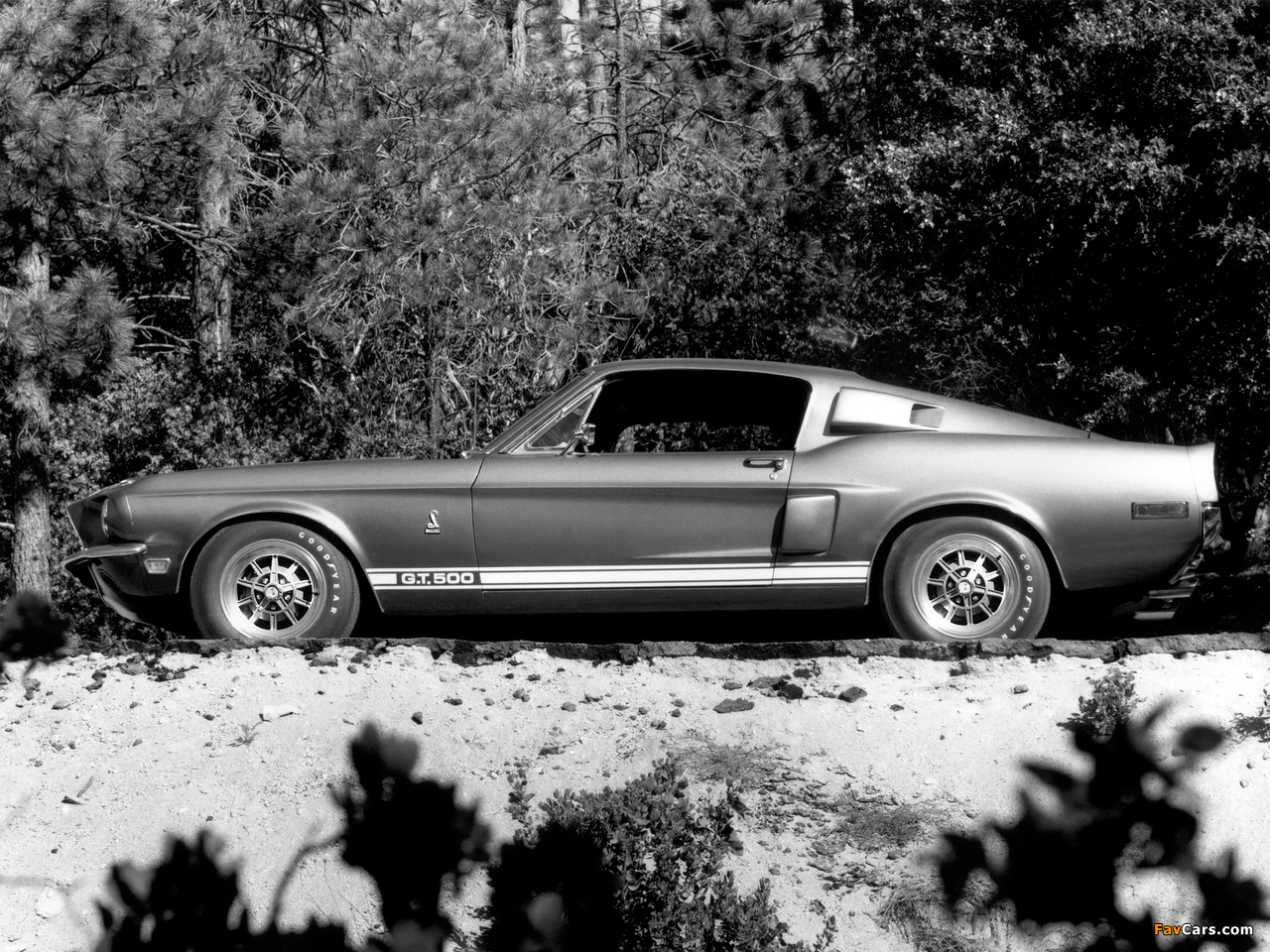 Shelby GT500 1968 photos (1280 x 960)