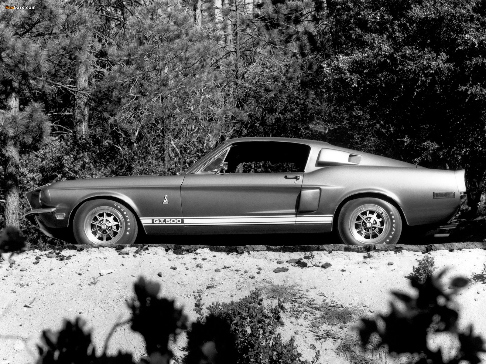 Shelby GT500 1968 photos (1600 x 1200)