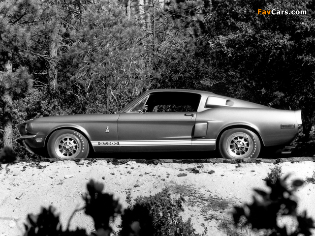 Shelby GT500 1968 photos (640 x 480)