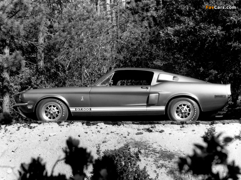 Shelby GT500 1968 photos (800 x 600)
