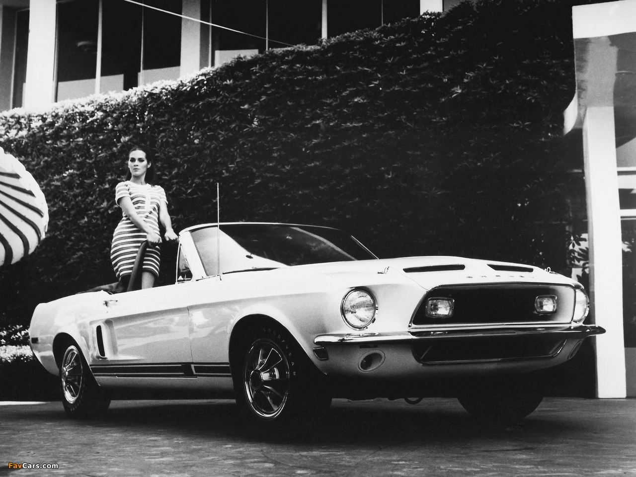 Shelby GT500 Convertible 1968 pictures (1280 x 960)