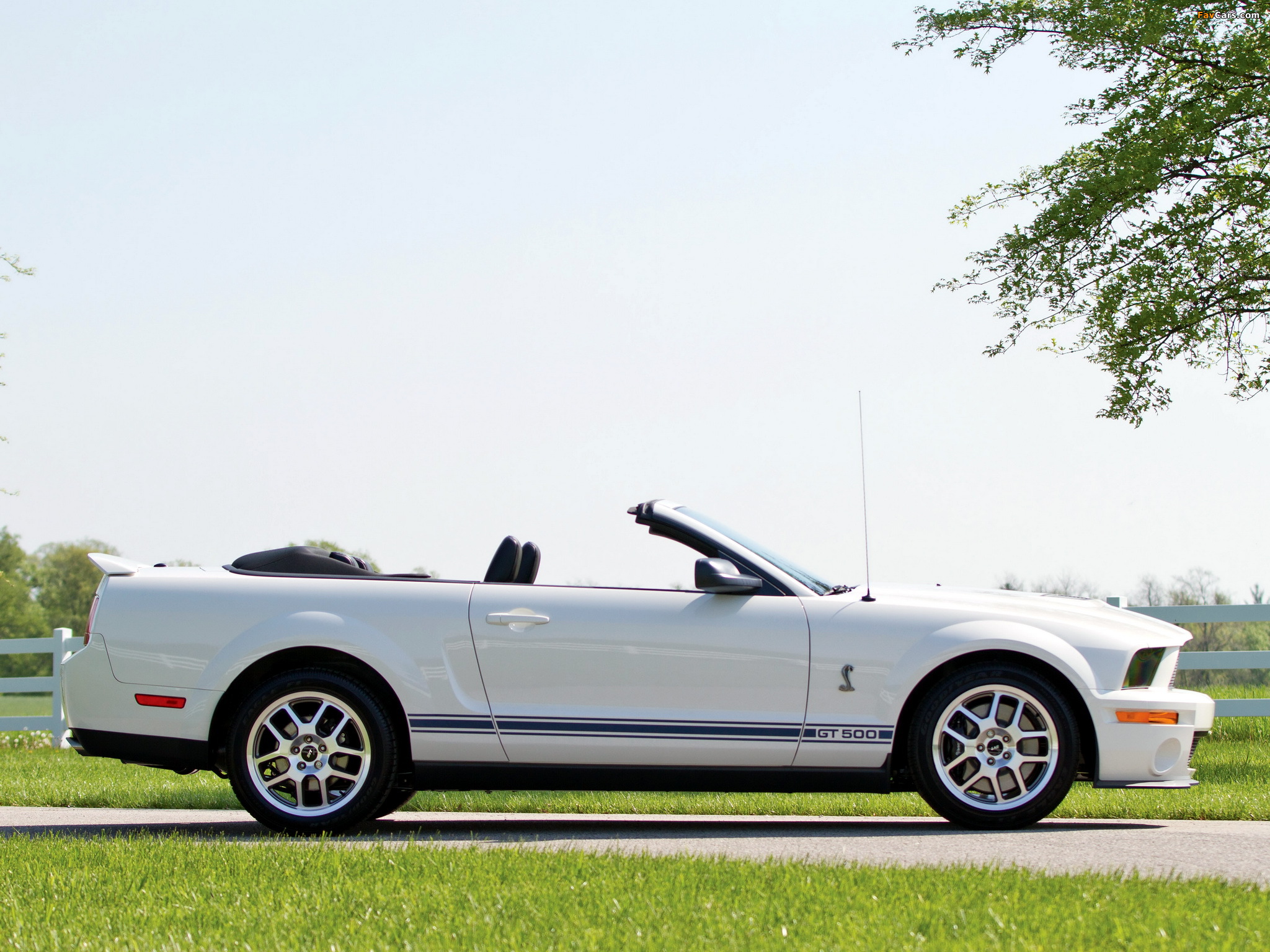 Shelby GT500 Convertible 2005–08 images (2048 x 1536)