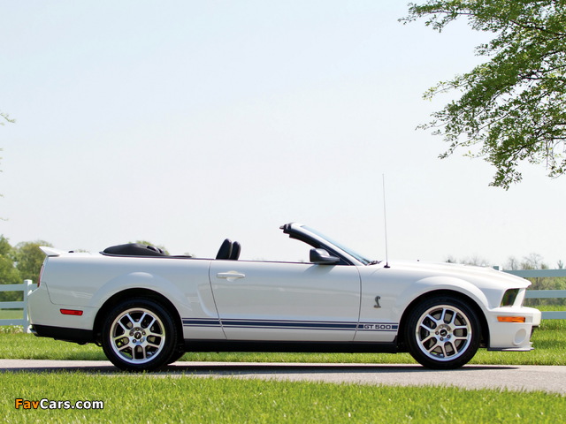 Shelby GT500 Convertible 2005–08 images (640 x 480)