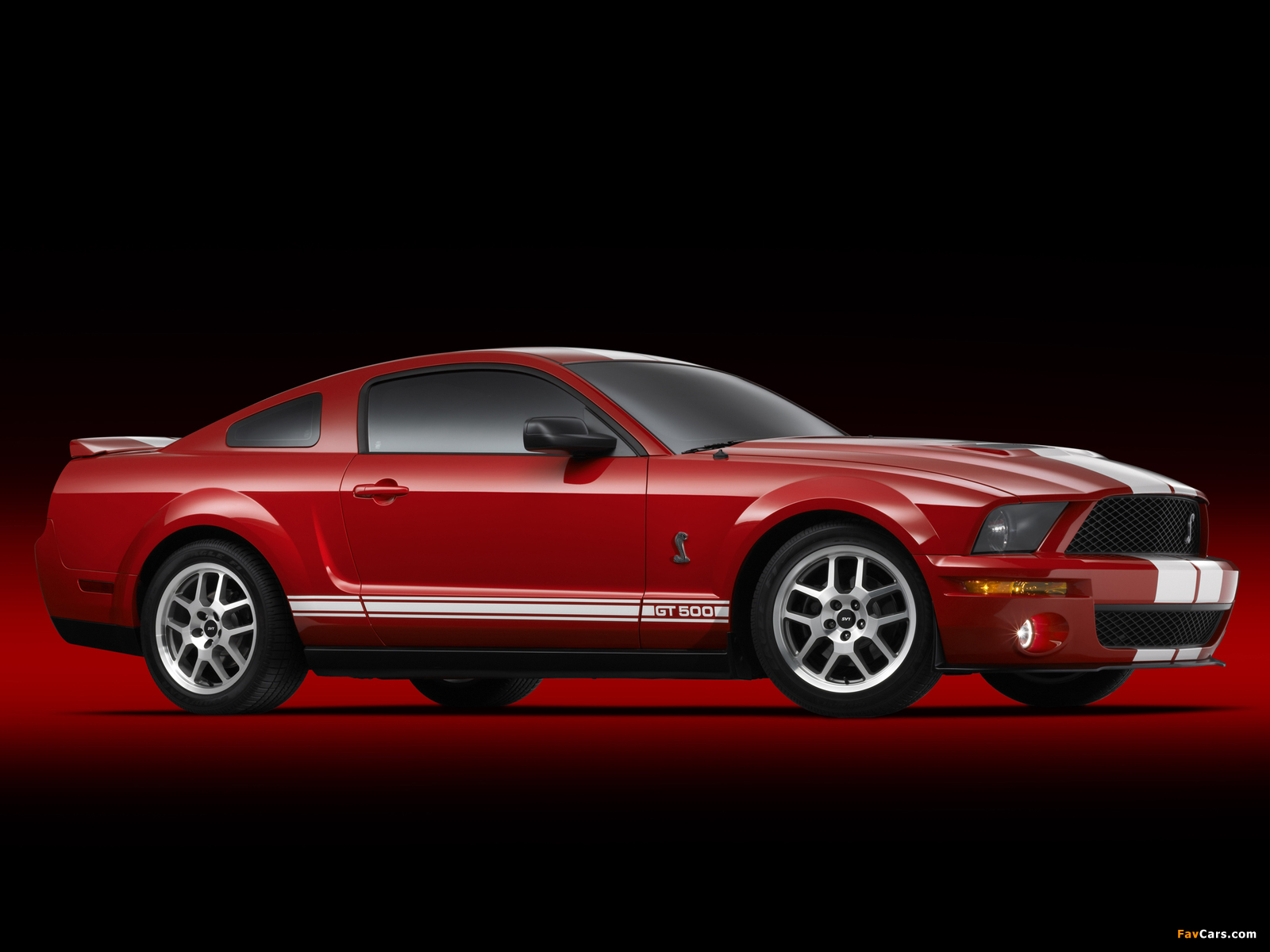 Shelby GT500 2005–08 images (1600 x 1200)