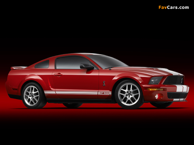 Shelby GT500 2005–08 images (640 x 480)